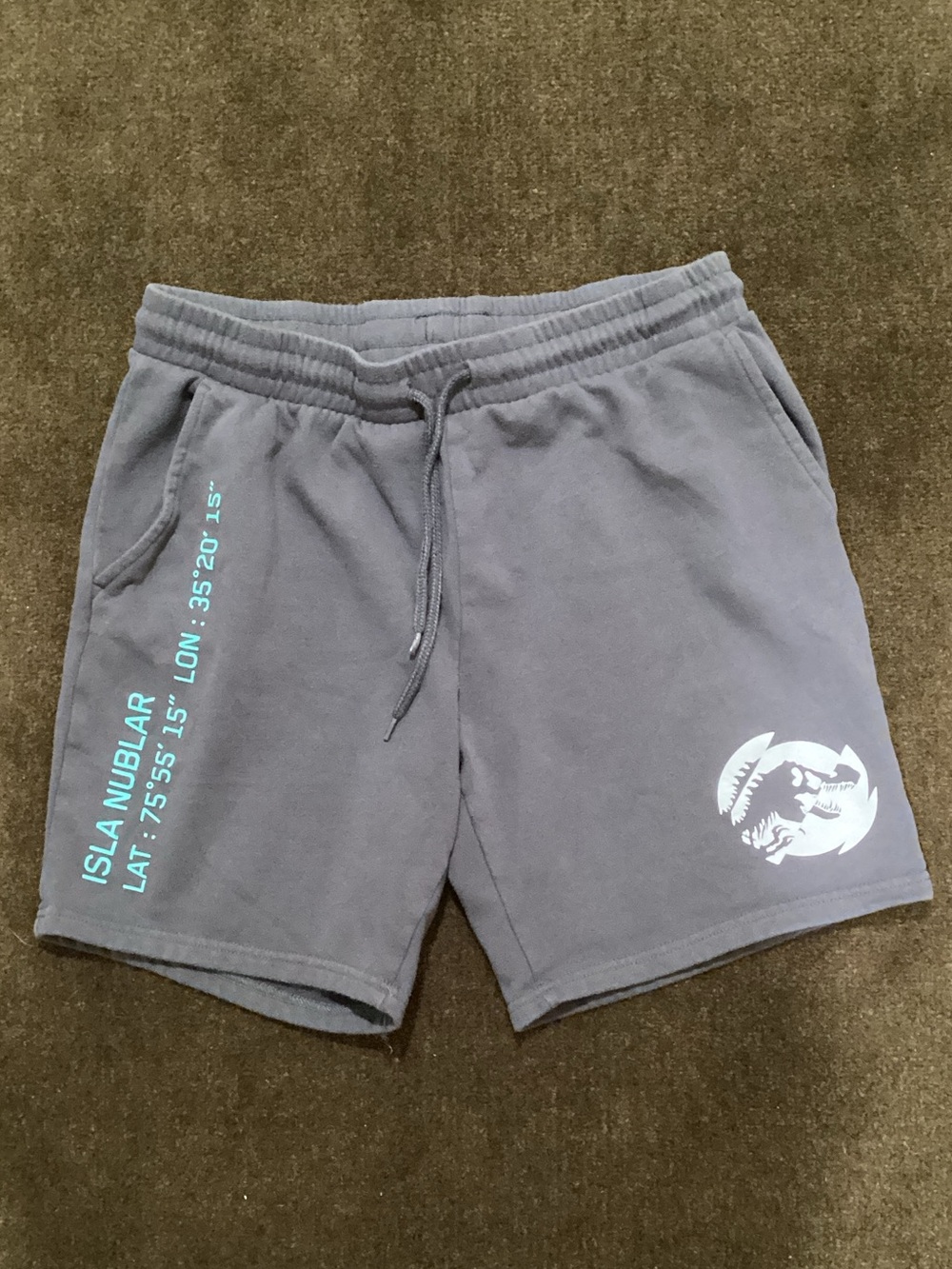 Isla Nublar Men's Gray Athletic Logo Cotton-Blend Shorts